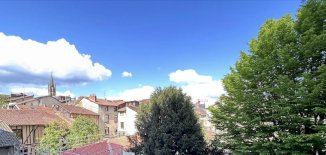 Grand 2 Pièces - Limoges (87000)