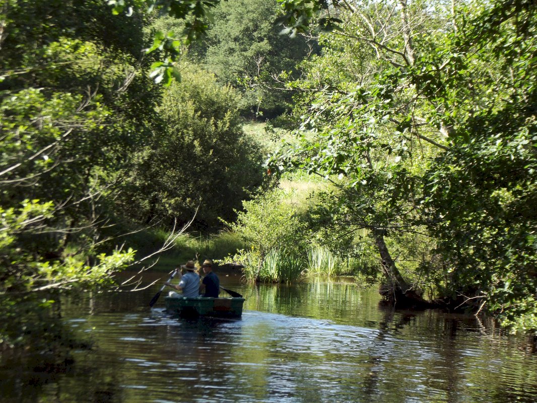 Davantage qu'une propriété : Un art de vivre ! - Photo 10 - Savignac-de-Nontron