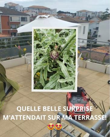 Appartement + jardin + garage + toit-terrasse à Royan - Photo 10 - Royan