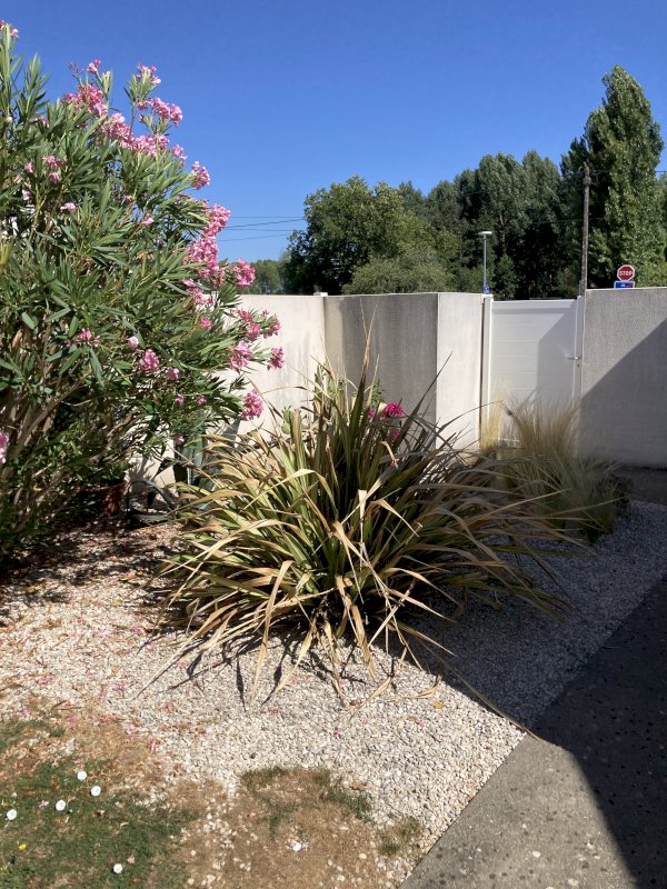 ph10_46666