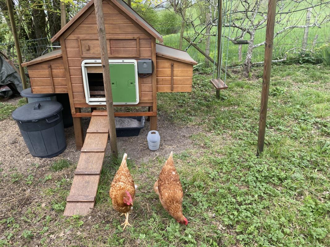 Maison bois écologique de 3 pièces - Photo 11 - Loubès-Bernac