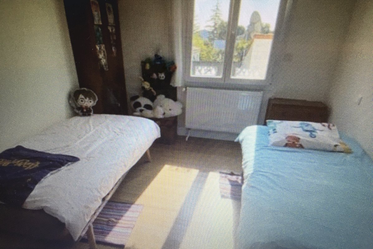 ph11_44550