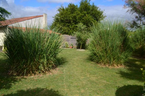 Maison de 175 m² - Photo 12 - Chambon