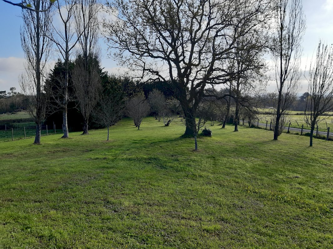 Maison de 170 m² - Photo 12 - Yviers