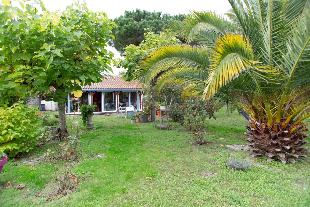 Vends Maison principale et Maison d'amis - Photo 12 - Saint-Vivien-de-Médoc