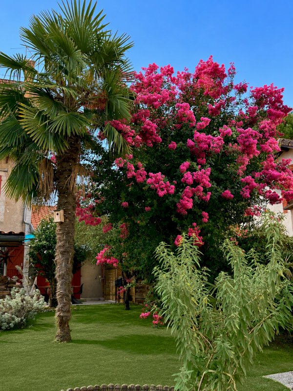 ph12_47058