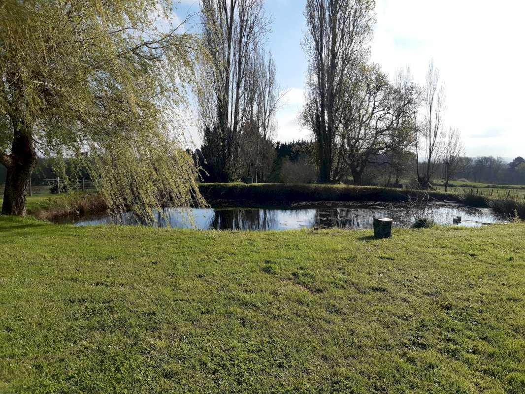 Maison de 170 m² - Photo 13 - Yviers