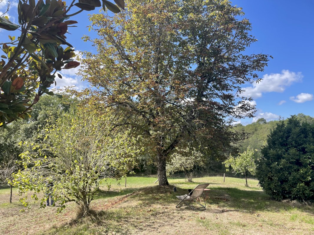ph13_43913