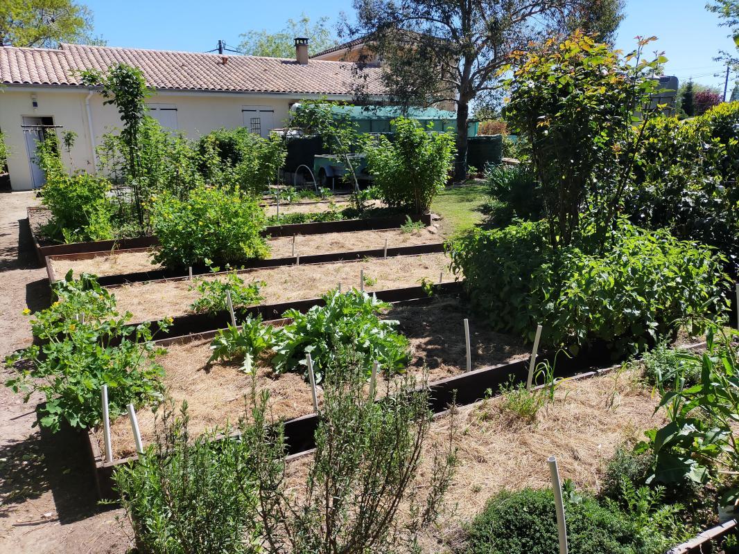 ph13_47264