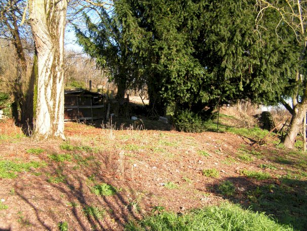 Maison à la campagne - Photo 14 - Champagne-et-Fontaine