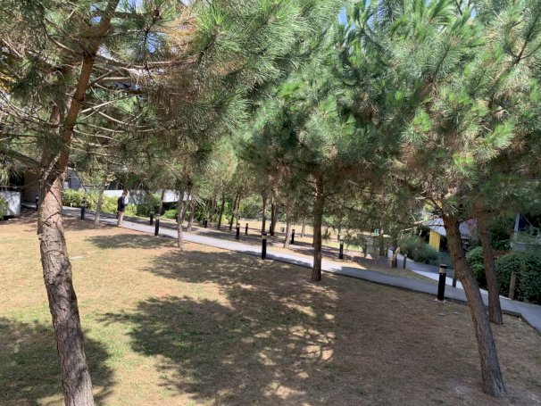 T3 de 62 m² - Photo 14 - Cenon