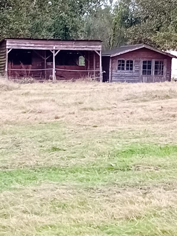 Vente Maison à Cercoux - Photo 14 - Cercoux