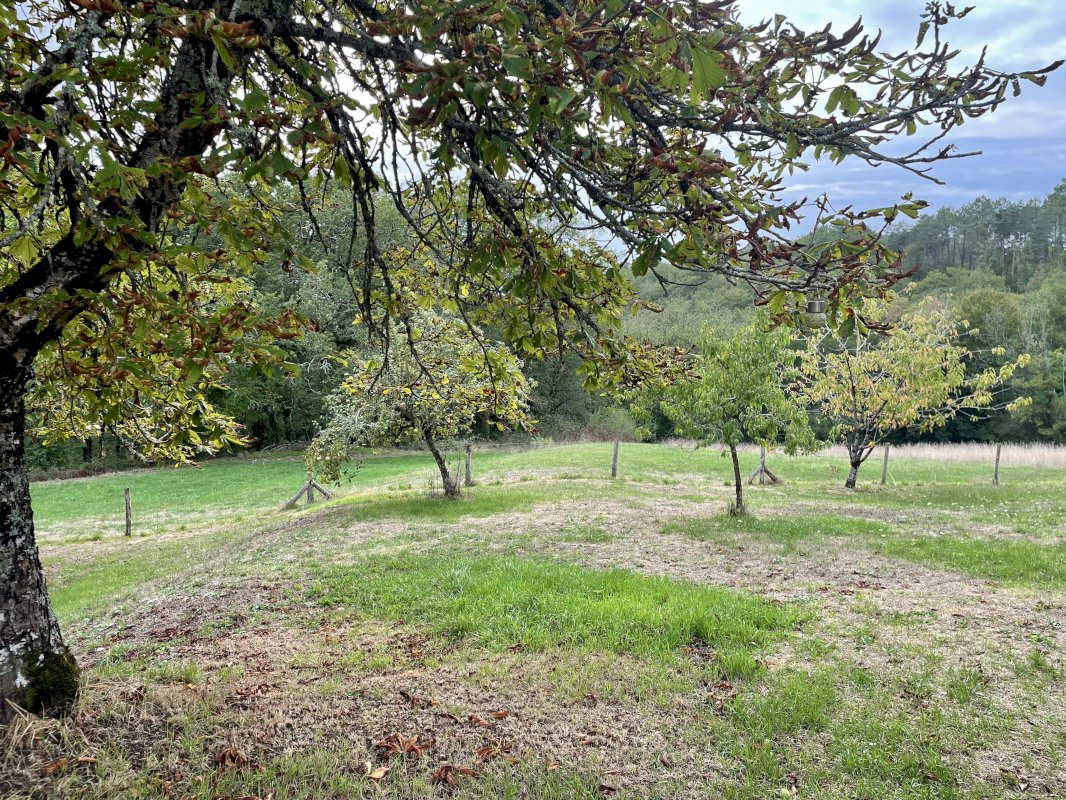 Ancien corps de ferme à Montignac-Lascaux - Photo 14 - Montignac-Lasacaux