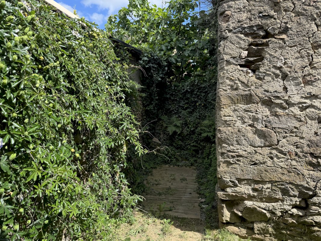 ph14_46658