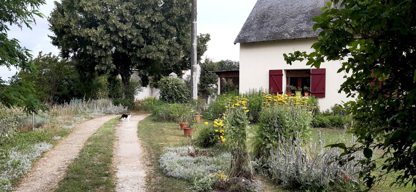 Corps de ferme | Maisons + Dépendances - Photo 15 - La Roche-Posay