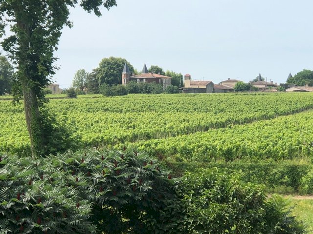 Jolie maison située dans un quartier tranquille - Photo 15 - Barsac