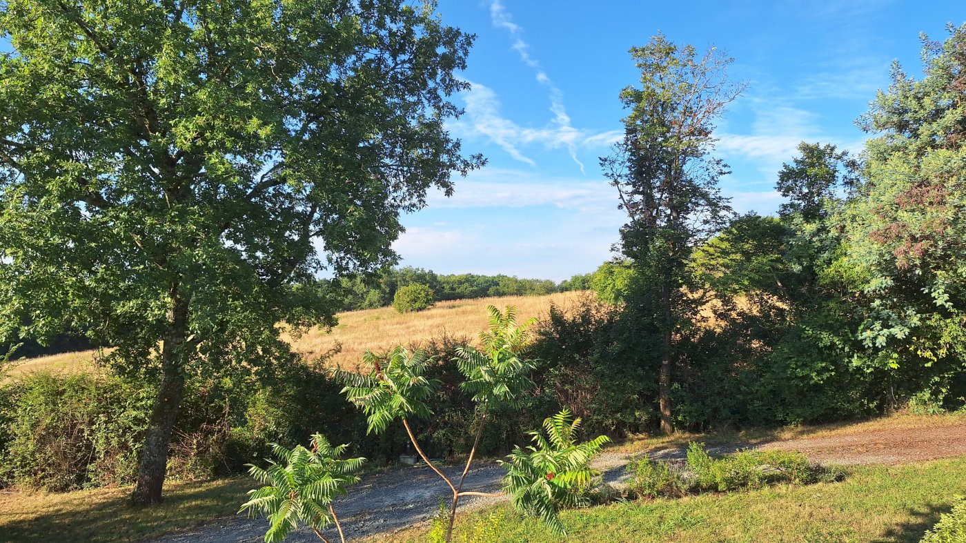 Pompignac, Gironde : maison de 264 m² + annexes, 11 pièces, terrain 1 681 m² - Photo 15 - Pompignac