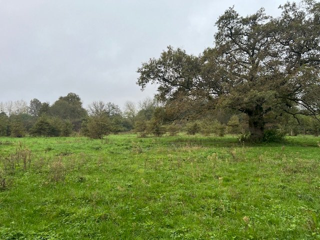 ph15_45932