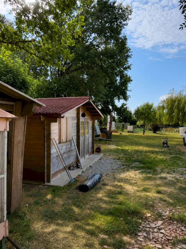 ph15_46319
