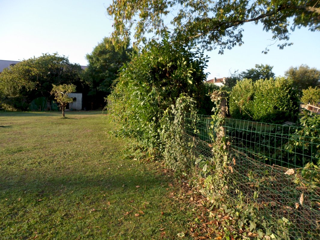 Maison Bergerac - Photo 1 - Bergerac