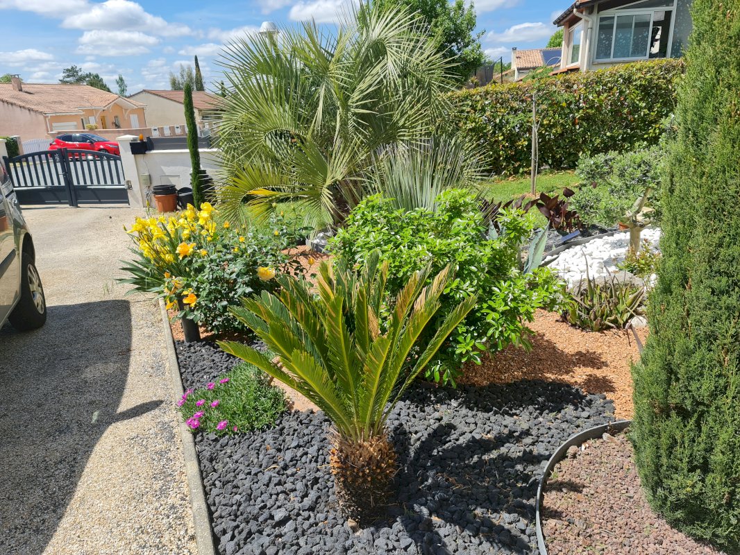 Maison individuelle sur sous sol - Photo 2 - Villeneuve-sur-Lot