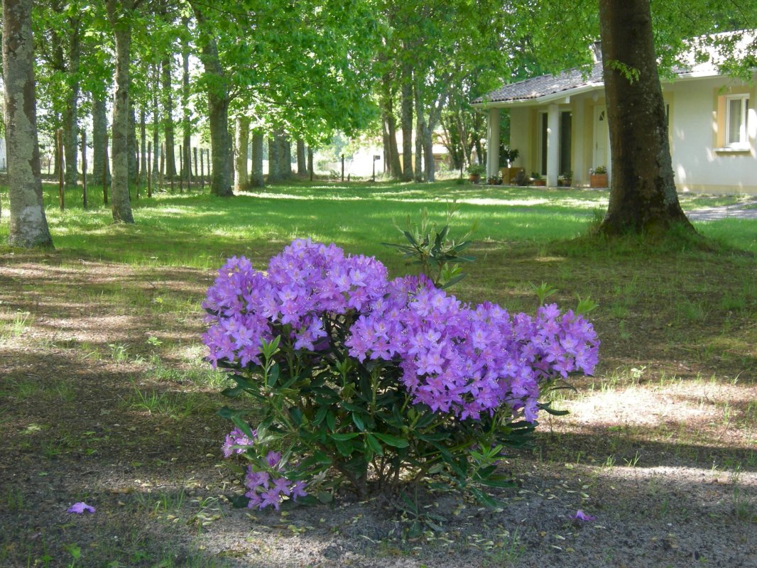 ph2_45735