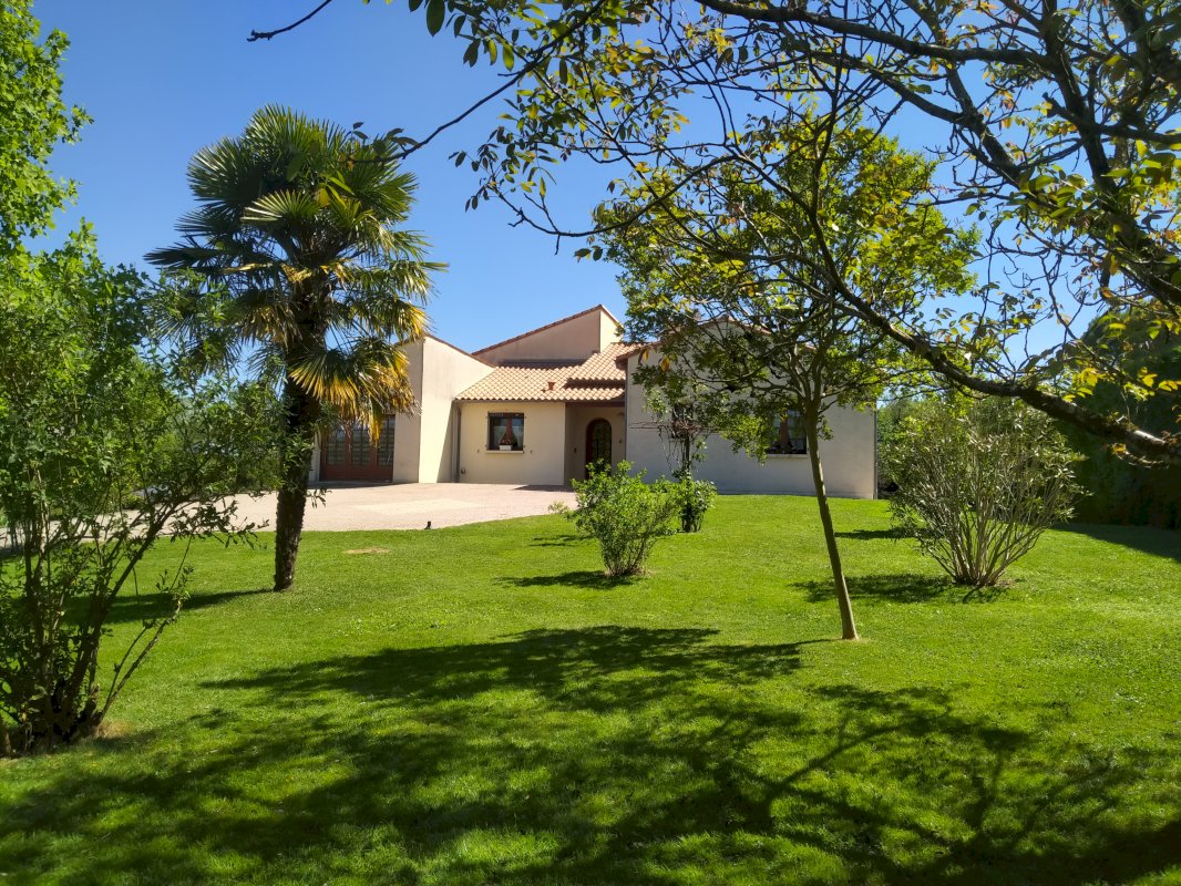 ph2_46135