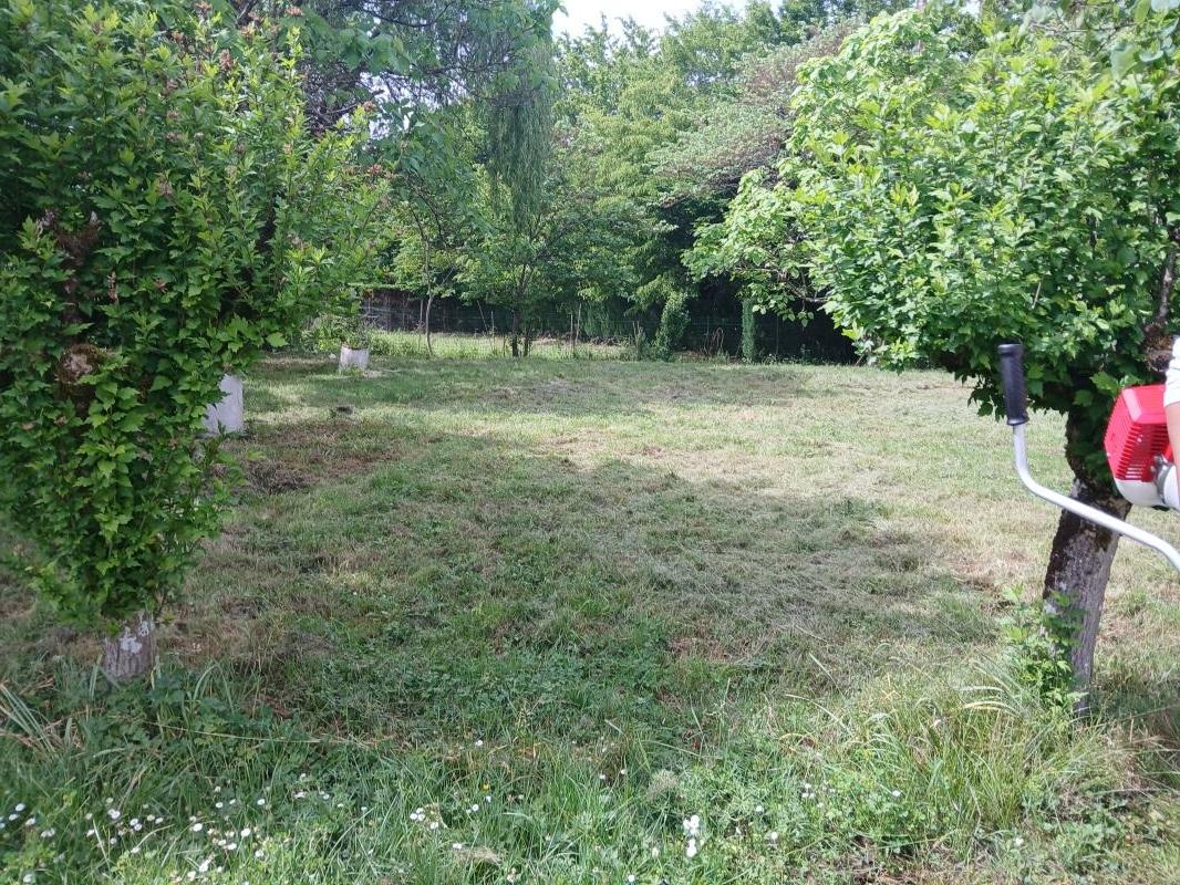 ph2_46153