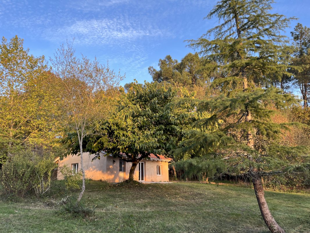 ph2_46668