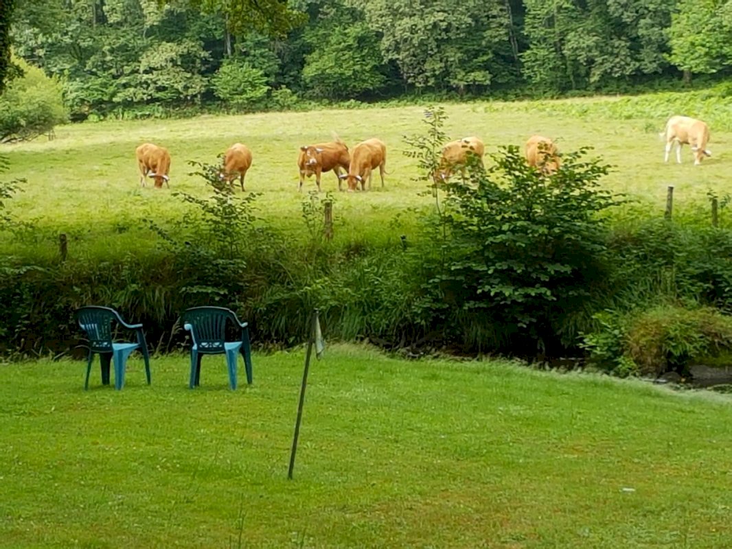 Davantage qu'une propriété : Un art de vivre ! - Photo 3 - Savignac-de-Nontron