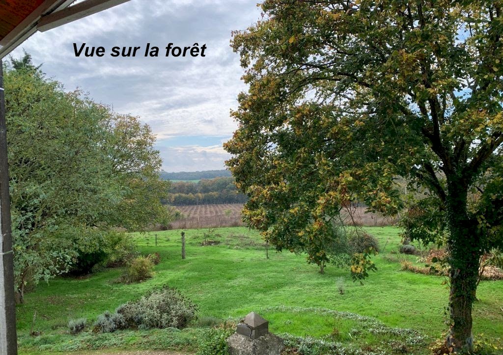 Corps de ferme | Maisons + Dépendances - Photo 3 - La Roche-Posay