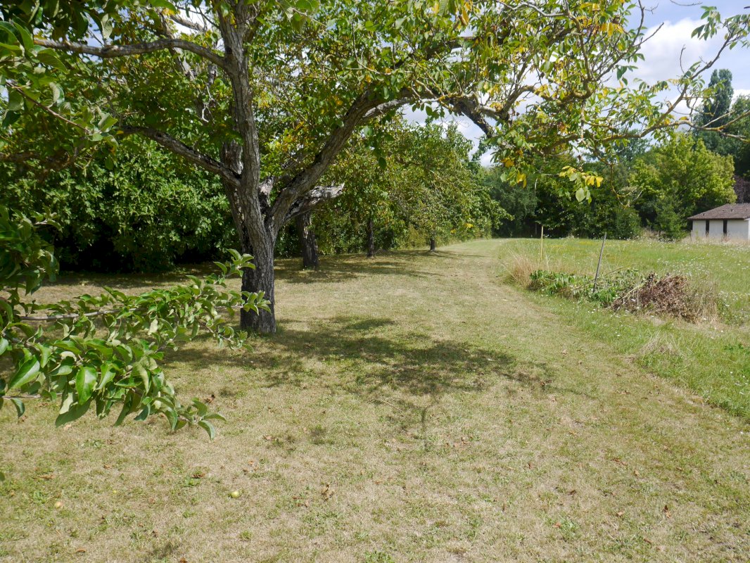 Petite propriété de 4.4 ha - Photo 3 - Rives (Villeréal)