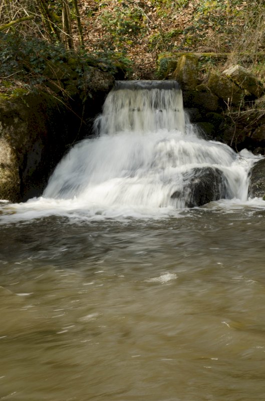 Davantage qu'une propriété : Un art de vivre ! - Photo 4 - Savignac-de-Nontron