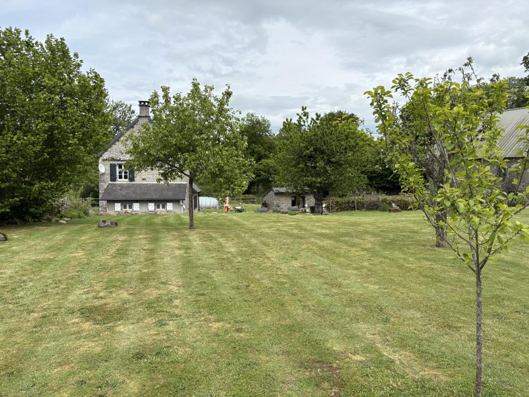 Sud Creusois – Maison en pierre + grange rénovée – 2 500 m² de terrain - Photo 4 - Malleret