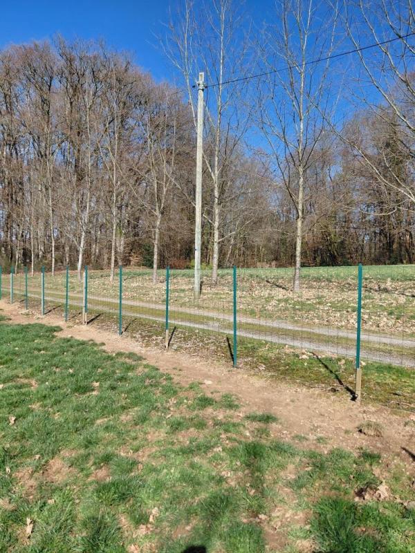 ph4_44387