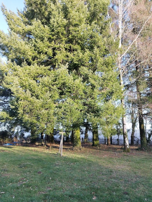 ph4_45003