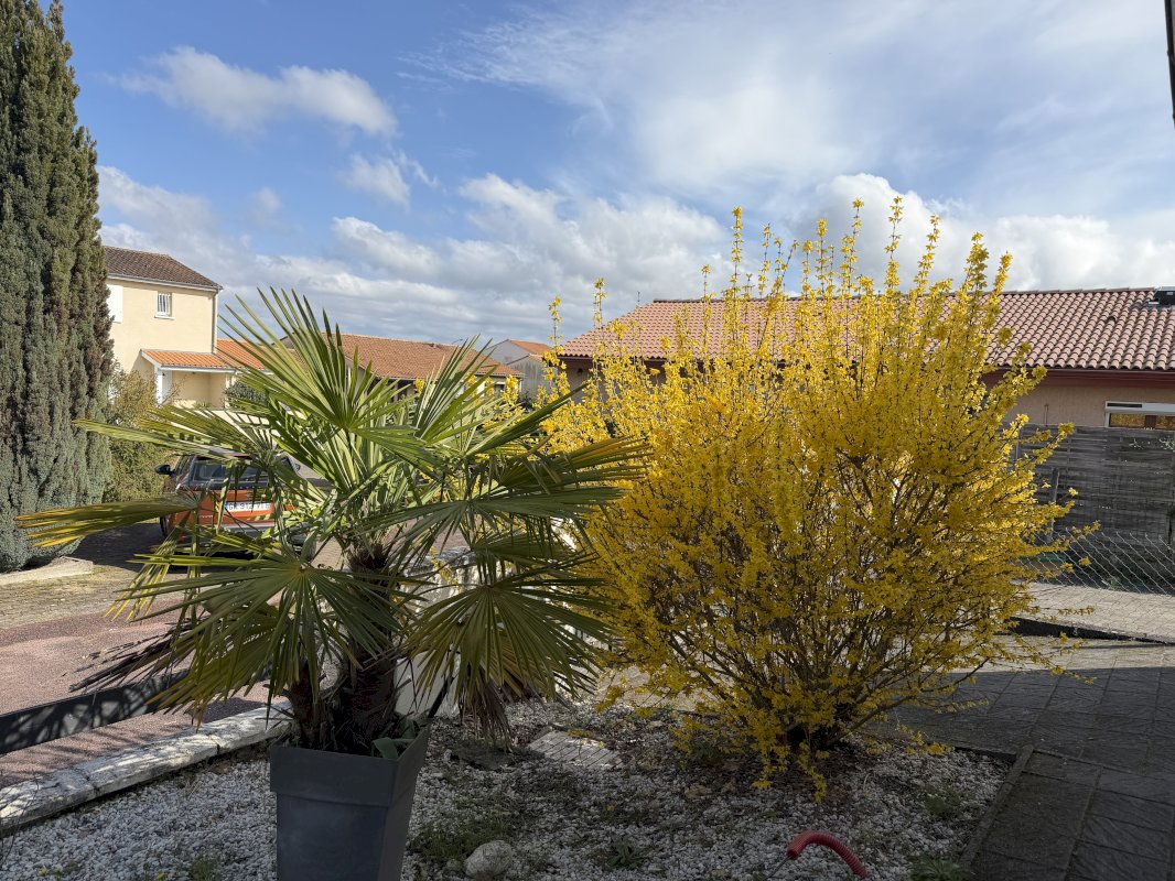 Maison de plain-pied - Photo 5 - Villenave-d'Ornon