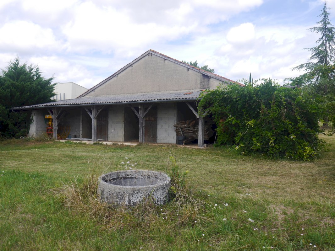 Petite propriété de 4.4 ha - Photo 6 - Rives (Villeréal)