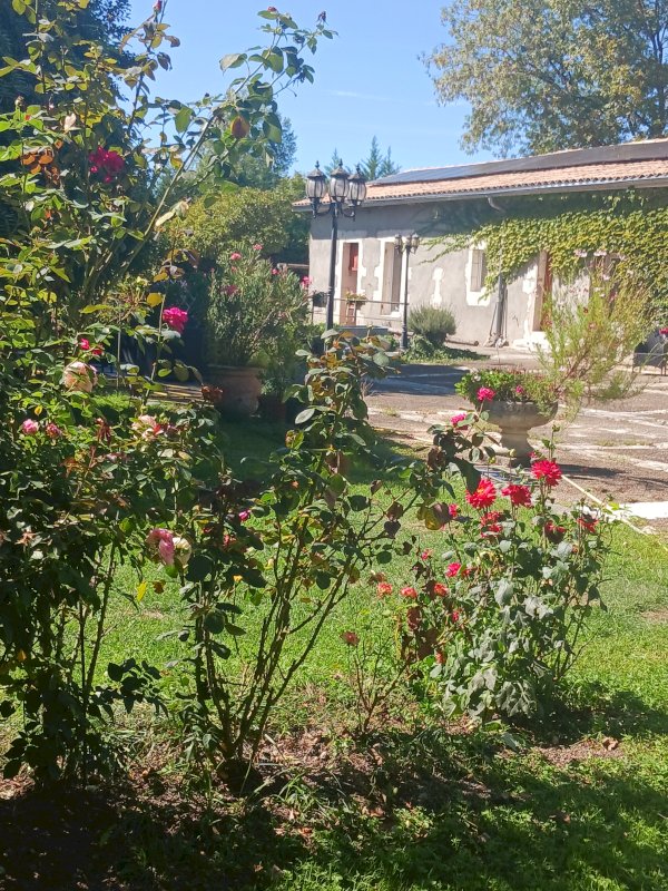 ph6_47164