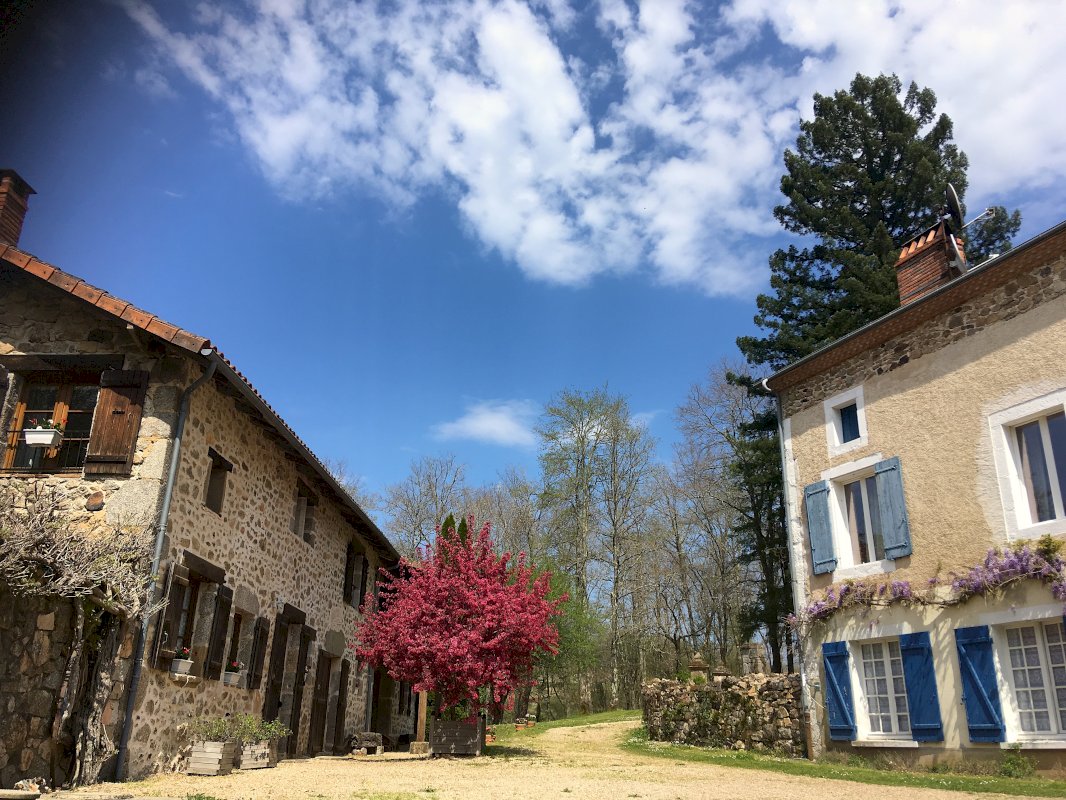 Davantage qu'une propriété : Un art de vivre ! - Photo 7 - Savignac-de-Nontron