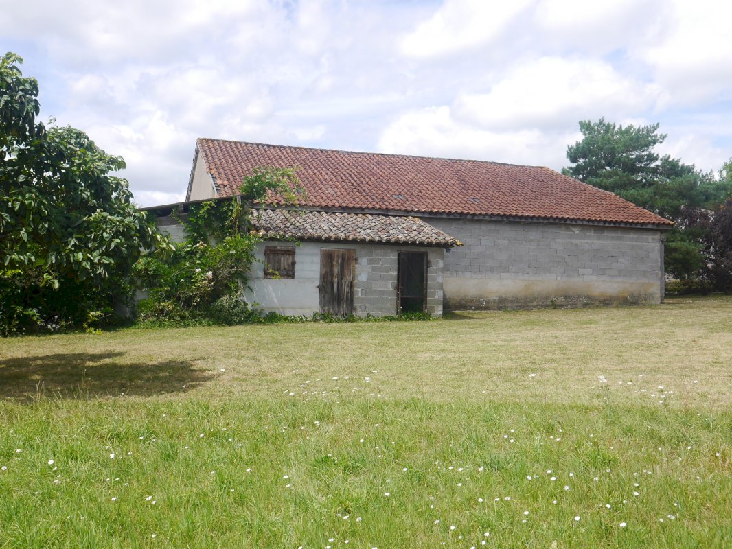 Petite propriété de 4.4 ha - Photo 7 - Rives (Villeréal)