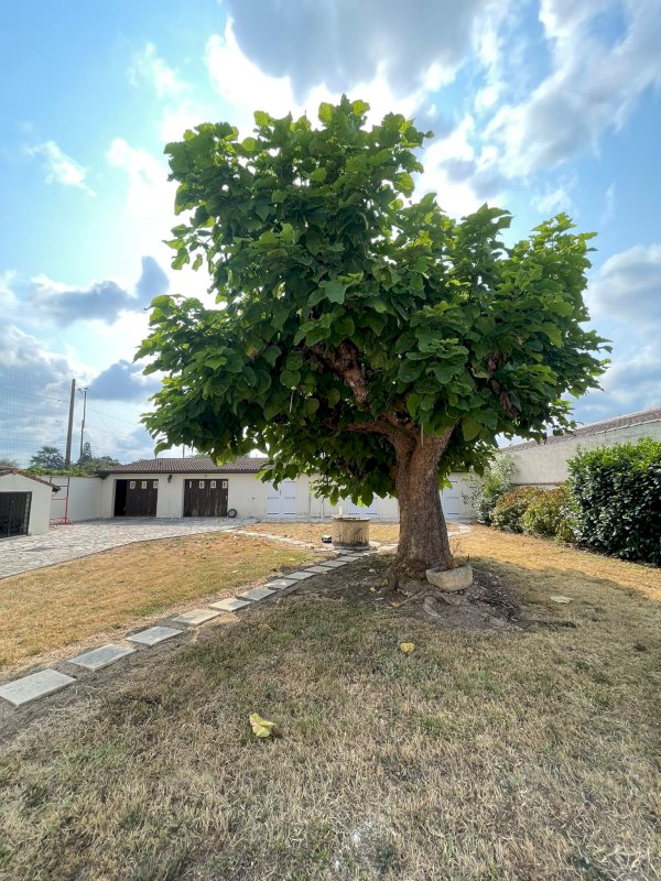 ph7_47017