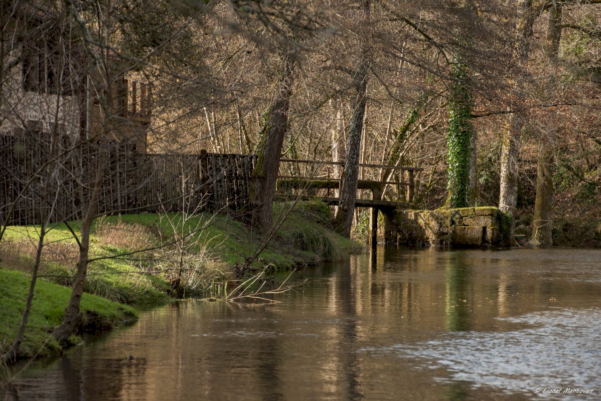 Davantage qu'une propriété : Un art de vivre ! - Photo 8 - Savignac-de-Nontron