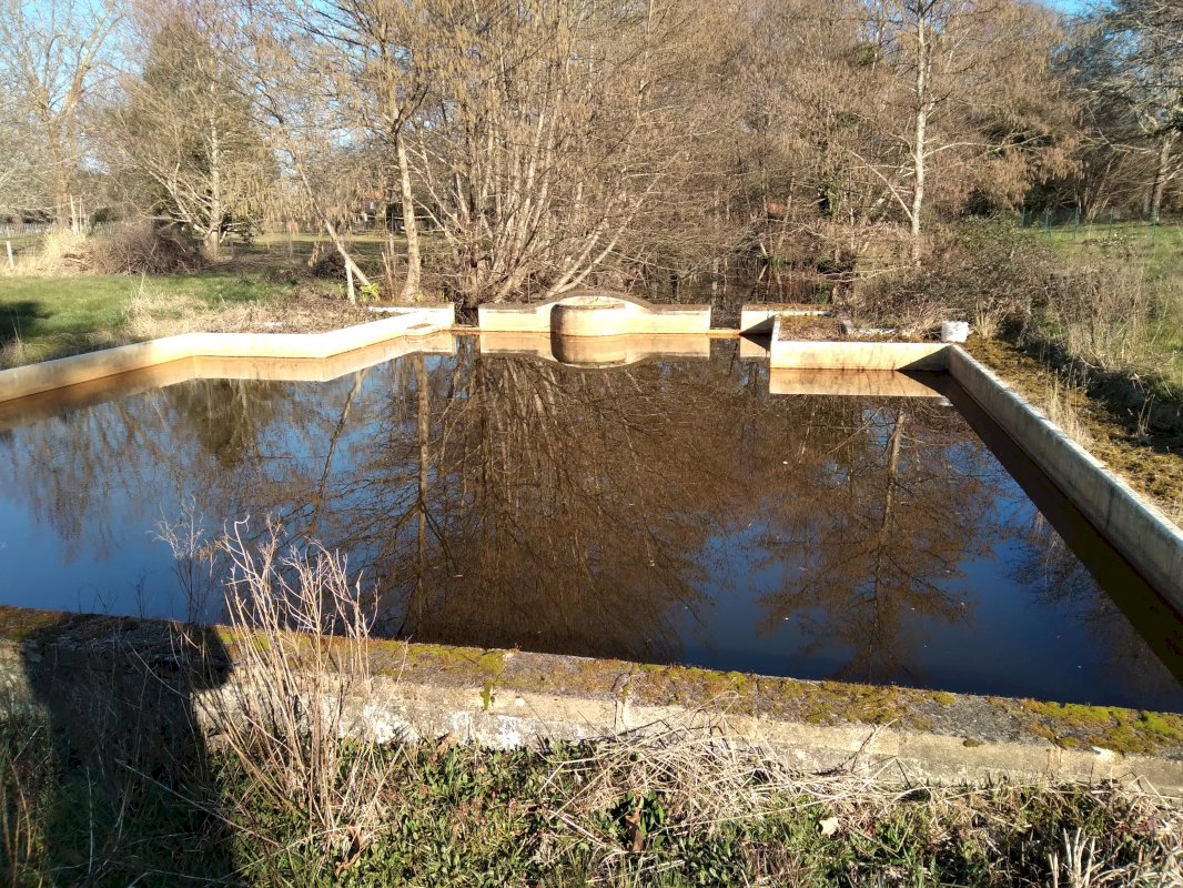 ph9_46402